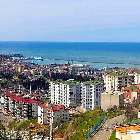 Zal Trebizonda